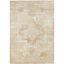 Beige Rust 5' x 7' Synthetic Rectangular Area Rug