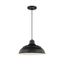 Satin Black Indoor/Outdoor 14" Pendant Light