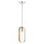 Brushed Nickel Glass Indoor/Outdoor Pendant Light