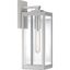 17" Stainless Steel Dimmable Outdoor Lantern with Clear Glass