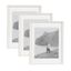 White and Natural Wood 14x18 Picture Frame Set of 3