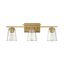 Warm Brass and Clear Glass 3-Light Vanity Fixture