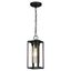 Walker Hill Matte Black 14.6" Vintage Outdoor Pendant Light