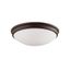 10" Rubbed Bronze and Glass Flush Mount Ceiling Light