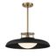 Matte Black and Warm Brass Vintage Pendant Light with Opal Glass Shade