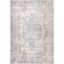 Eco-Friendly Vintage Floral Gray Synthetic 8' x 10' Area Rug