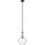 Everly 15.25" Transitional Black Pendant Light with Clear Glass Shade