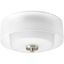 Brushed Nickel Glass Globe Flush Mount Light