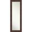 Wildwood Brown and Silver Full-Length Wood Mirror