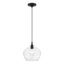 Aldrich Black and Brushed Nickel Glass Pendant Light