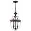 Monterey Colonial 2-Light Bronze Outdoor Pendant with Clear Beveled Glass