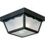 Black Textured Glass 2-Light Outdoor Flush Mount Ceiling Light