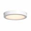 White Glass LED Flush Mount Ceiling Light