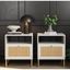 Mina White and Gold Rattan Nightstands Set of 2