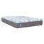 Sealy Dreamlife 12" Full Gel Memory Foam Mattress