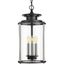 Squire Matte Black and Clear Glass 3-Light Hanging Lantern