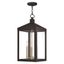 Nyack Bronze 3-Light Outdoor Pendant Lantern