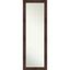 Wildwood Silver and Walnut Full Length Wood Bathroom Mirror