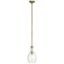 Everly 13.75" Clear Glass and Brass Mini Pendant Light