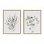 Neutral Botanical 18x24 Framed Canvas Wall Art Set