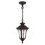 Oxford Bronze 1-Light Outdoor Pendant with Clear Glass