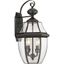 Medici Bronze 20" Outdoor Wall Lantern with Clear Glass