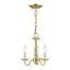 Williamsburgh 3-Light Polished Brass Mini Chandelier for Indoor/Outdoor