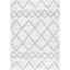 Ivory and Grey Synthetic Shag Area Rug 4'5" x 6'5"