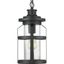 Haslett Black Textured Glass Outdoor Hanging Lantern