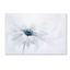 Serenity White and Blue Floral Canvas Wall Art, 12" x 19"