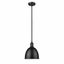 Matte Black Glass Indoor/Outdoor Pendant Light