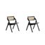 Sleek Black and Natural Cane Folding Side Chair Set