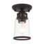 Bronze and Clear Glass Industrial Flush Mount Light