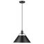 Matte Black Glass Transitional Pendant Light