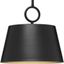 Parkhurst Matte Black and Gold Dome Pendant Light