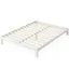 White Metal Queen Platform Bed Frame with Slats