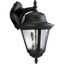 Westport 19.25" Black and Bronze Outdoor Wall Lantern