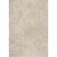 Plush Easy-Care Beige Shag Area Rug 5' x 7'