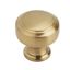 Champagne Bronze Round Cabinet Knob with Mounting Hardware