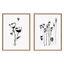 Sylvie Wildflowers and Seed Pods Framed Canvas Set