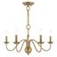 Elegant Antique Brass 5-Light Taper Candle Chandelier