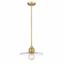 Olde Brass and Glass 14" Indoor/Outdoor Pendant Light