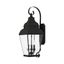 Elegant Black 3-Light Outdoor Lantern with Dimmable Clear Beveled Glass