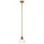 Brushed Brass and Clear Glass Mini Pendant Light