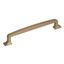 Golden Champagne Steel Cabinet Pull with Mounting Hardware