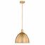 Classic Brass 12.5" Indoor/Outdoor LED Pendant Light