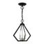 Mini Crystal LED 2-Light Indoor/Outdoor Pendant - Black & Brushed Nickel