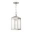 Brushed Nickel Outdoor Pendant Lantern with Clear Glass