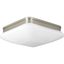 Brushed Nickel Square Flush Mount with Etched Opal Glass Shade