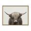 Hey Dude Highland Cow Framed Canvas Wall Art